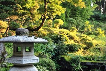 Nuances de vert et rayons de soleil dans le jardin d'un temple