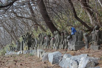 <p>Patung-patung rubah ini berasal dari seluruh penjuru Jepang. Disaat mereka rusak atau menjadi tua (menjalankan tugas mereka) mereka dikirim untuk beristirahat di kuil ini</p>