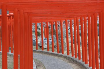 <p>ini adalah pintu masuk dari 201 gerbang merah yang menggambarkan naga. Setelah anda melalui perut dari naga ini, anda akan tiba pada rubah-rubah yang telah beristirahat</p>
