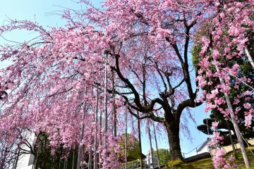 <p>Terlihat seperti air terjun!</p>