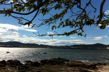 <p>Takeshima</p>