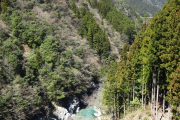 <p>A view of the valley just below the restaurant</p>