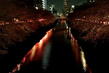 <p>Day time view is beautiful; however, night view is much more magical in my opinion.</p>