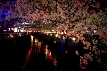 <p>From here onwards please allow me to share some pictures I took at Nakameguro.</p>