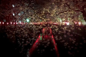 <p>There are a few bridges and the view from every bridge is slightly different. The bridges closer to the station are rather crowded I am afraid. You might need to queue for about 2 minutes before getting to the front and taking a photo, but as I said, it is worth it.</p>