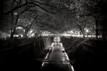 <p>Black and white version</p>