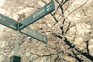 <p>A signpost indicates the&nbsp;Doraemon&nbsp;Museum is within walking distance.</p>
