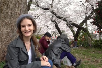 Ohanami di Taman Ueno