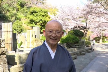 Pause Paisible au Myohon-ji