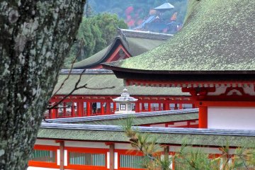 <p>Side view of the shrine, with Daisho-in&nbsp;temple on the hillside</p>
