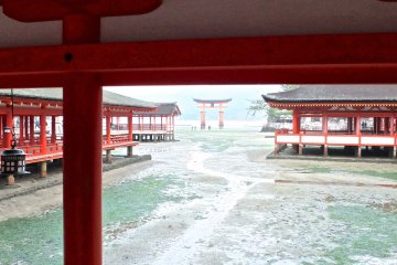 <p>A view of Miyajima's famous torii gate in the far distance</p>