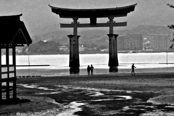 <p>At low tide, you can walk out to the the torii gate for a close-up view</p>