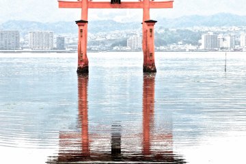 <p>Iconic view of the famous torii gate reflected in the water at low tide</p>