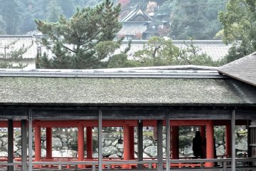 <p>View of some of the shrine's covered wooden walkways, and Daisho-in&nbsp;Temple</p>