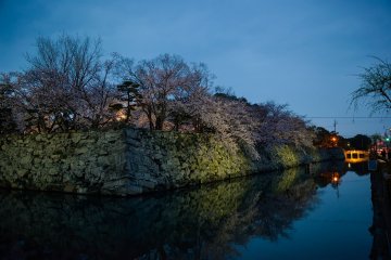 <p>The party venue is over there beyond the stone wall</p>