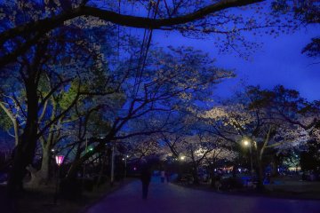 <p>Call it a day? So, let&rsquo;s party!</p>