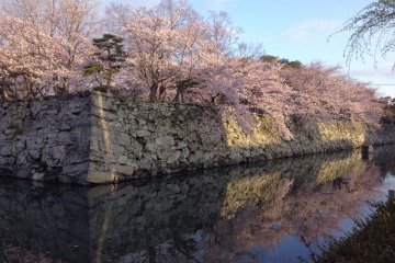 <p>Central Park in daytime</p>