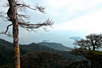 <p>Another great view from along the trail</p>
