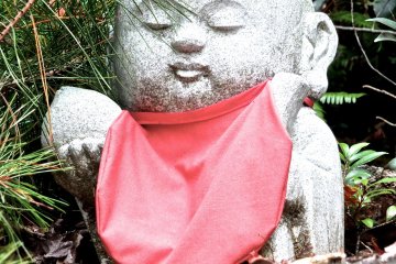 <p>This little guy was up on a rock ledge looking down</p>