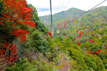 <p>Riding the ropeway down to Miyajima Island</p>