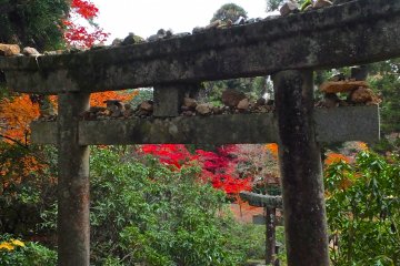 Torii gates of an island shrine