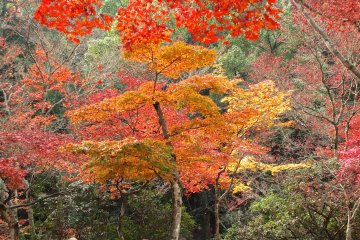 What a great place for a rest or for a picnic