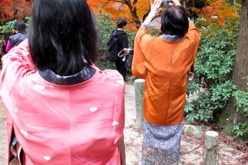 While they were taking photos of the leaves, others were taking photos of them