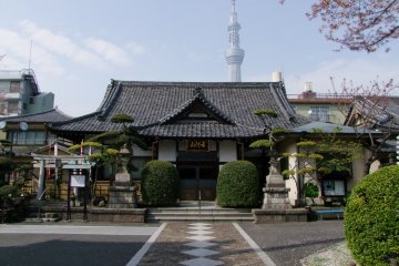 Ho-on Temple Under Cherry Blossoms