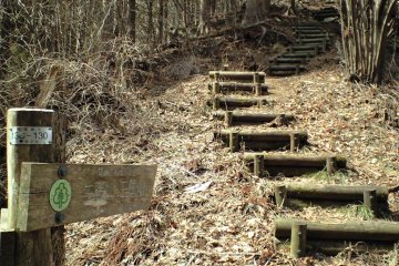 The Fuji Trail : The Back country 