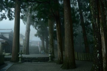 Shousan-ji Temple in Spring