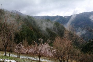 <p>M&ecirc;me au printemps, la neige peut tomber</p>