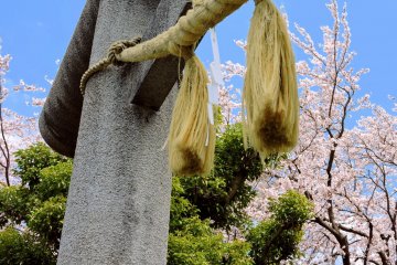 <p>Tasseled rope hanging from the torii of Sugiyama Shrine</p>