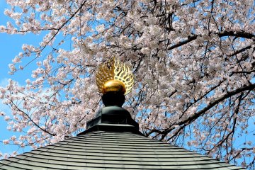 <p>Golden ornament on a rooftop</p>