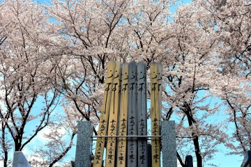 <p>It's fitting that cherry trees should symbolize the transient beauty of life &nbsp;</p>