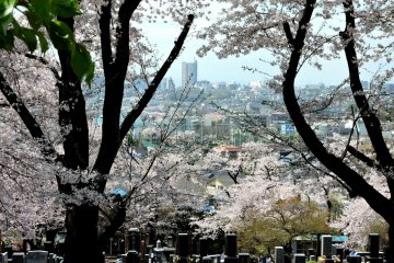 <p>View over Machida from the hillside above the cemetery of Toun-ji Temple</p>