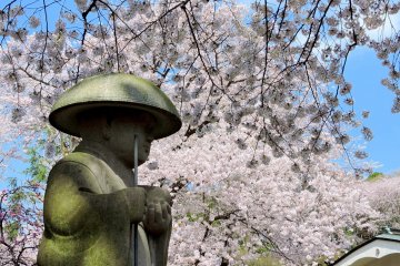 <p>A statue under a curtain of blossom</p>