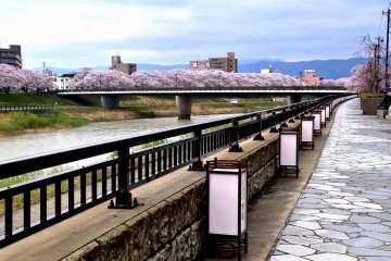 <p>Lanterns lining the stone-paved sidewalk of Asuwa River</p>