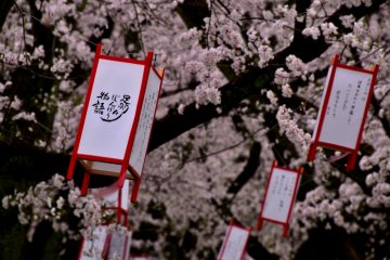 <p>Paper lanterns swaying in the wind</p>
