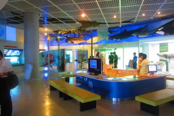 The discovery area has lots of hands-on exhibits for all ages