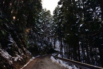 <p>The road to the temple is narrow</p>