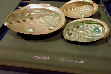 <p>Half-pearls, called mabes, formed on abalone shells</p>