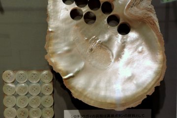 <p>Mother of pearl buttons cut from a shell</p>