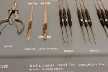<p>Tools for oyster 'surgery'</p>