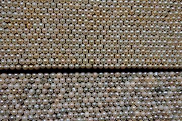 <p>Saleable pearls above the line, and rejects below</p>