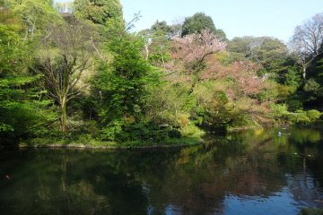 <p>Chinzanso's garden during the day</p>