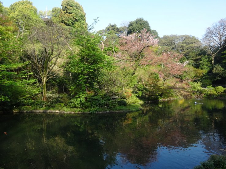 <p>Chinzanso's garden during the day</p>