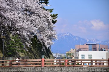 Pont du château et cerisiers en fleurs avec la montagne saupoudrée de neige en fond