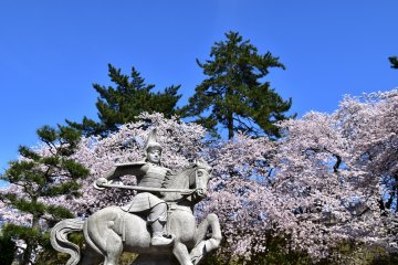 Statue de pierre de Yuki Hideyasu, le premier seigneur de Fukui Han entouré de cerisiers en fleurs et de pins