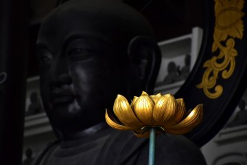 <p>Beautiful gold lotus</p>