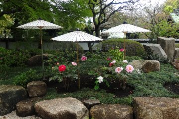 The garden is located right next to the Ueno Toshogu Shrine